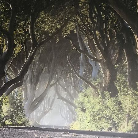 Dark Hedges Cottage Ballycastle Exterior photo